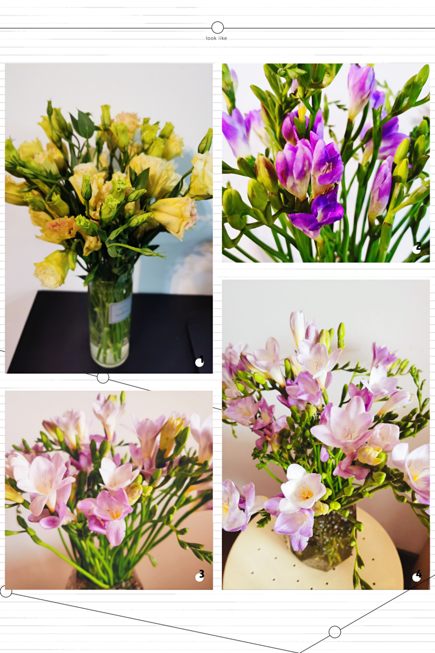 Happy Women’s Day | 戰(zhàn)疫時(shí)期，這個(gè)三八節(jié)，我們“e”起過(guò)！